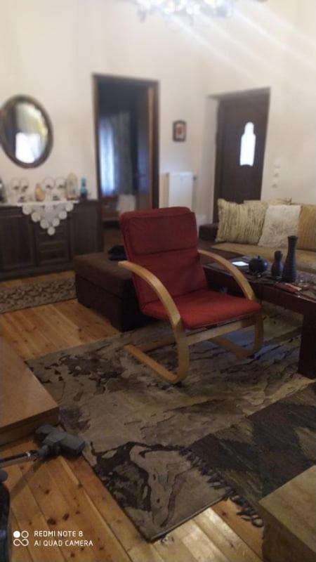 Elena'S Villa Chrysomiléa 외부 사진