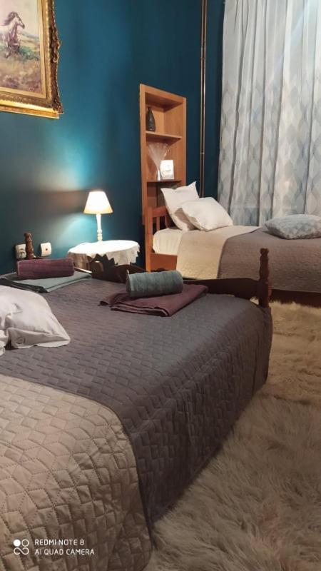Elena'S Villa Chrysomiléa 외부 사진