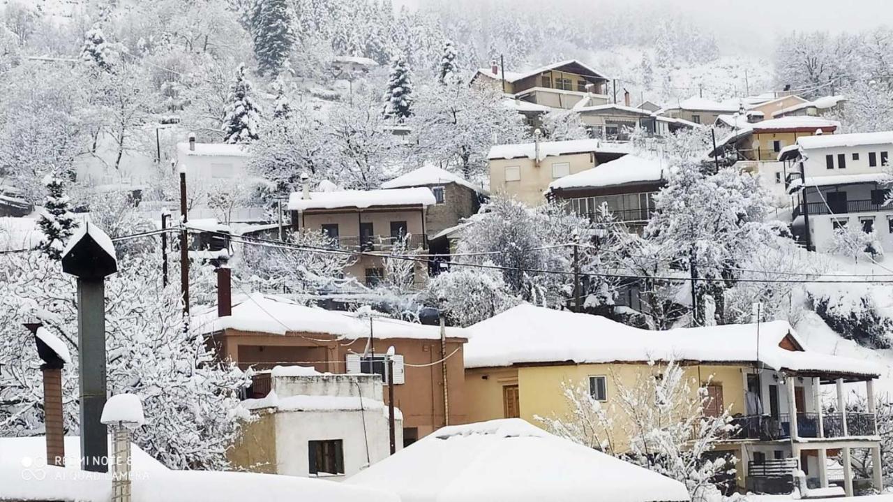 Elena'S Villa Chrysomiléa 외부 사진