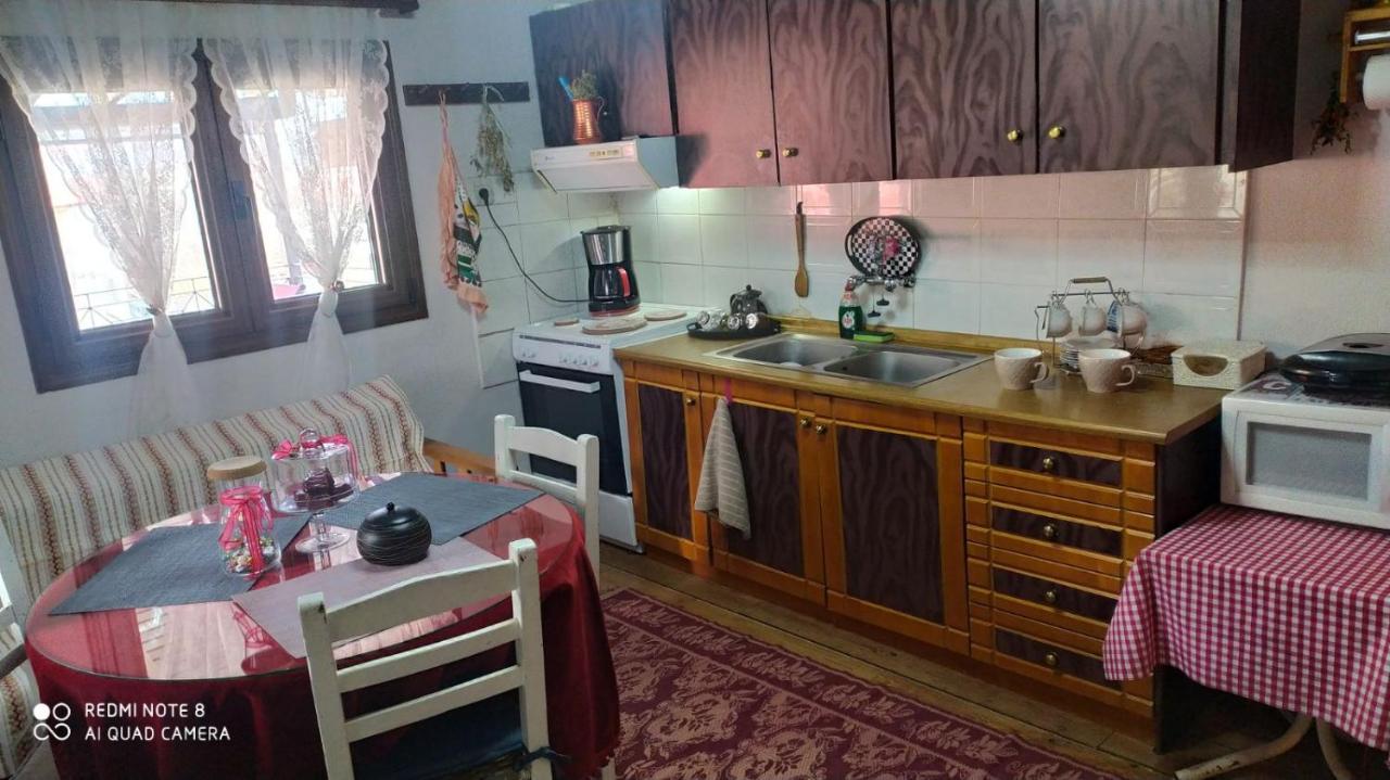 Elena'S Villa Chrysomiléa 외부 사진