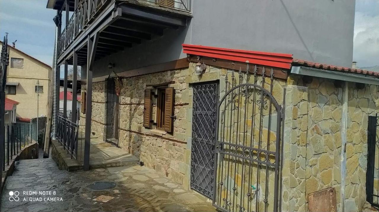Elena'S Villa Chrysomiléa 외부 사진