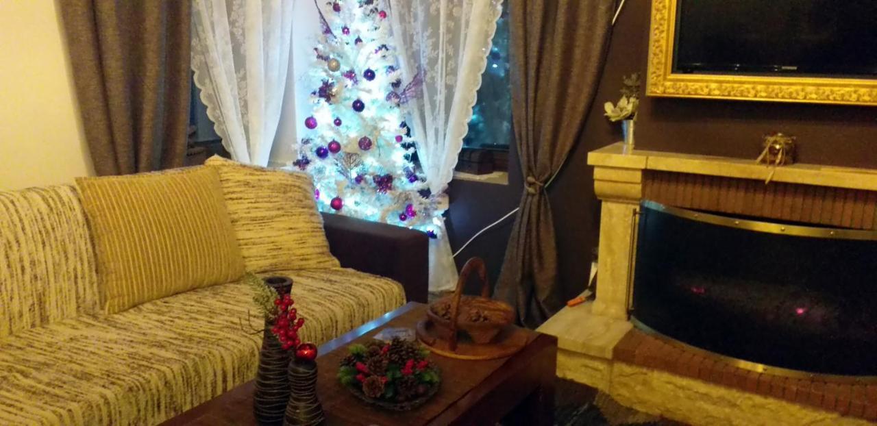 Elena'S Villa Chrysomiléa 외부 사진